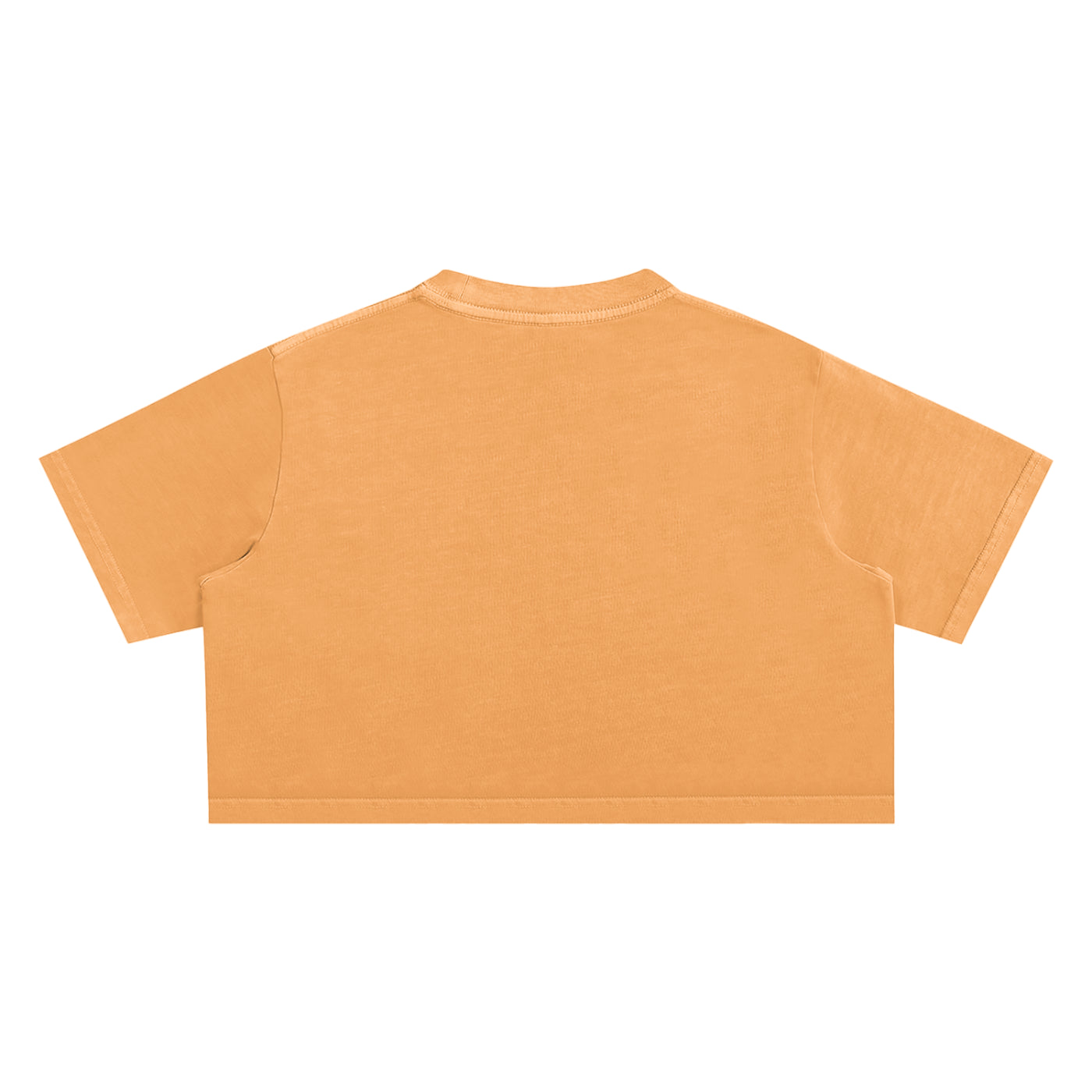 GM SNOW WASHED CROP TEE