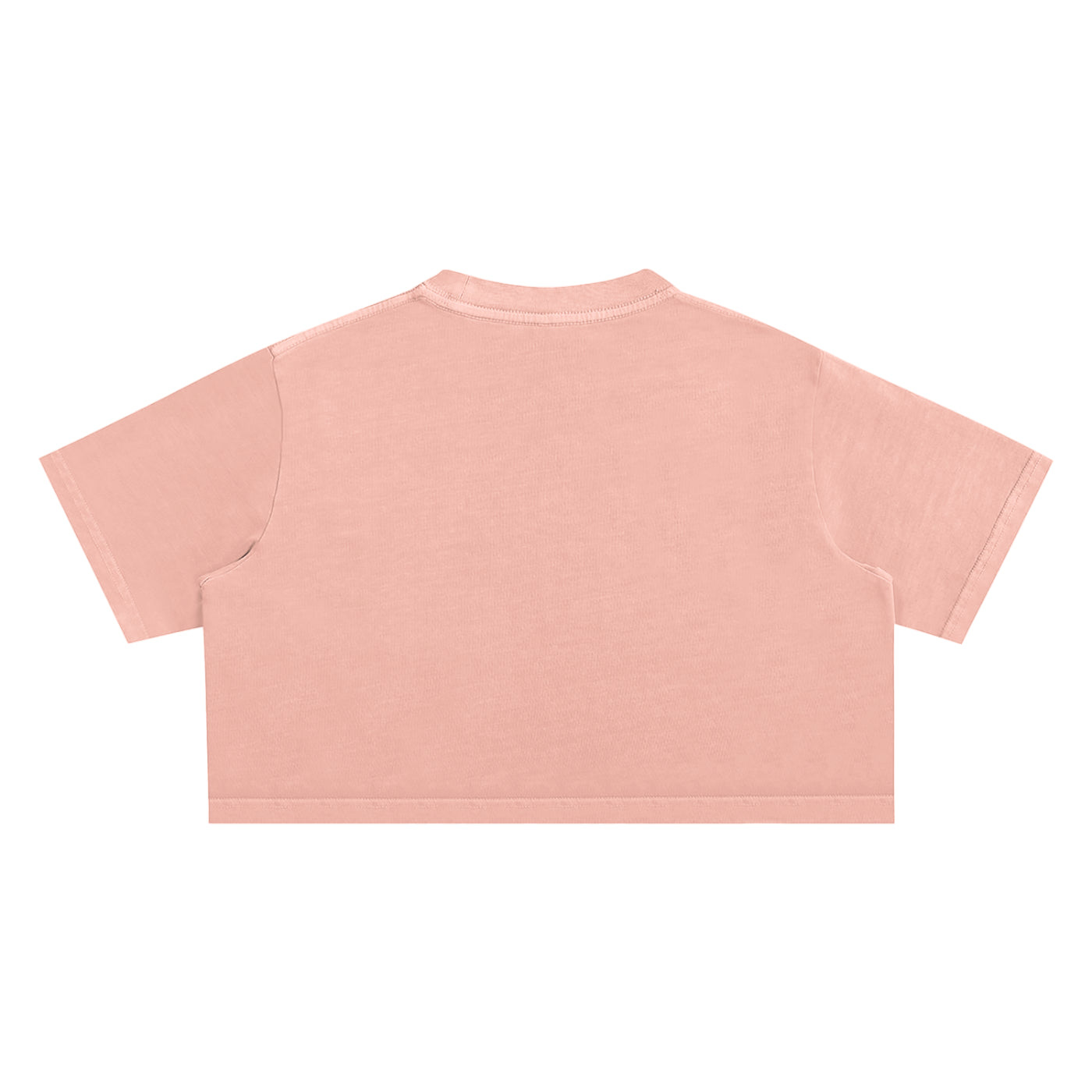 GM SNOW WASHED CROP TEE